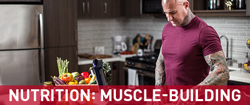 Jim stoppani online beginner to advanced