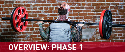 Jim stoppani online beginner to advanced