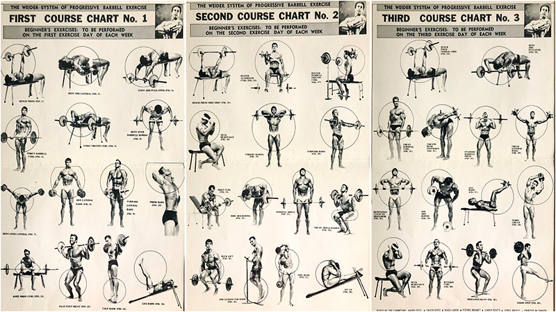 Weider home gym exercise guide best sale